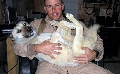 dog rescued from Iraq